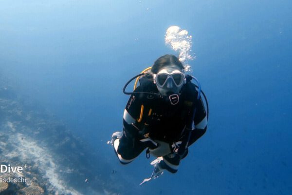 Malediven Tauchen: miss deschi unter Wasser