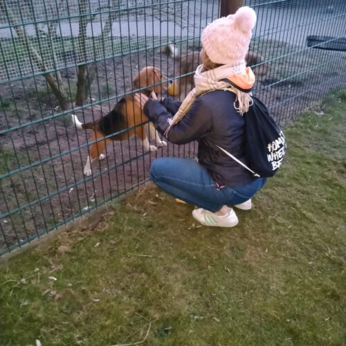 Bauernhof Urlaub in Brandenburg: Tiere ohne Ende