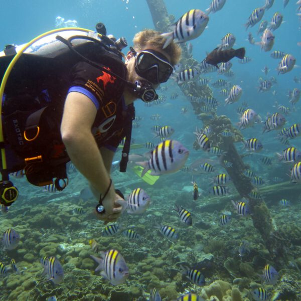 Tauchen in Raja Ampat: Biodiversität